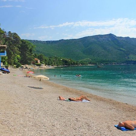 Apartments With A Parking Space Orebic, Peljesac - 10173 Bagian luar foto
